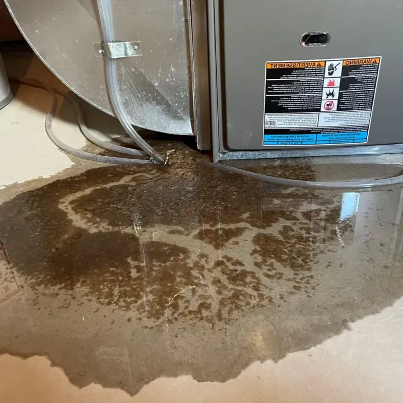 Pipe Burst and Leak Restoration in Monticello, KY