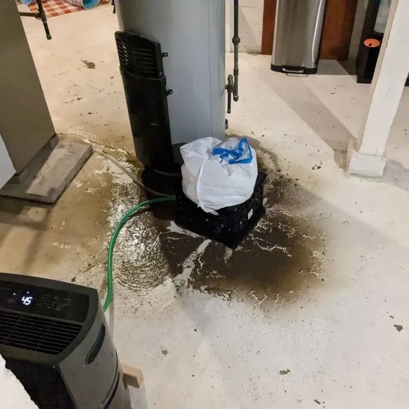 Sewage Backup Cleanup Service in Monticello, KY